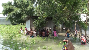 Brahmaputra continues devouring.jpg