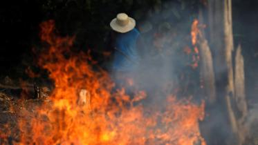brazil fire.jpg