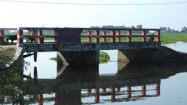 Bridge.jpg