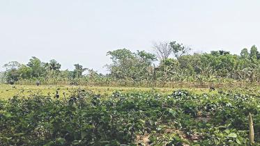 Bscic Muktagachha Mymensingh.jpg