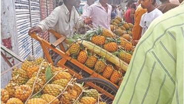 Bumper pineapple harvest.jpg
