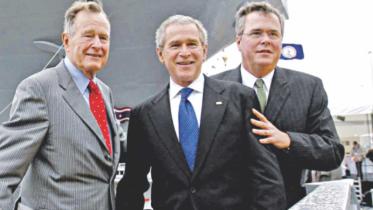 bush.jpg