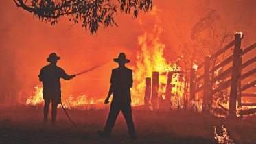 bushfires.jpg