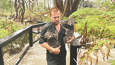 Bushfires.jpg