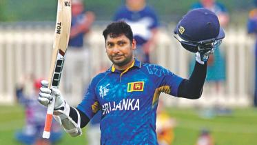 Can Tigers rewrite.jpg