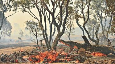 Canberra fire.jpg