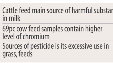 cattle feed.jpg