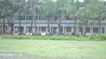 cattle market Haji Konu Mia High School.jpg