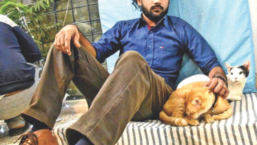 Caturday by The Pet Project