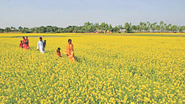 Chandanbaisha village.jpg