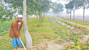 charitable garden.jpg