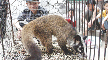 China’s animal trade.jpg