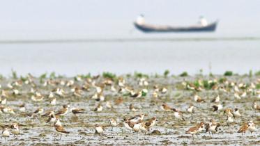 Coast or Construction