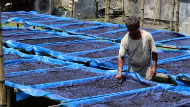 color making factory 1.jpg