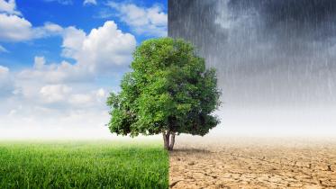 colour environmental-watch.jpg