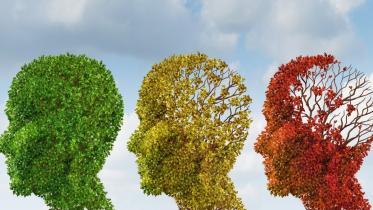 colour with aasha apa.jpg