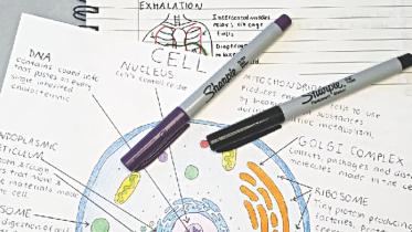 Confessions of a note maker