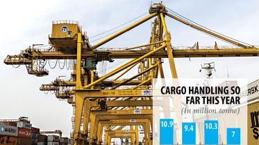 Container-handling-plunges-1.jpg