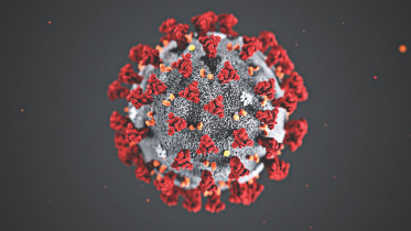coronavirus.jpg