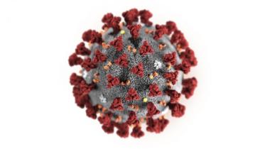 coronavirus_2.jpg
