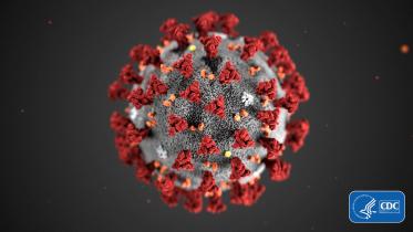 Coronavirus.jpg