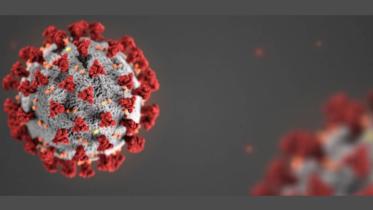 coronavirus logo.jpg