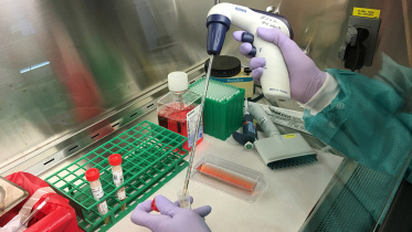 Coronavirus test-edit.jpg