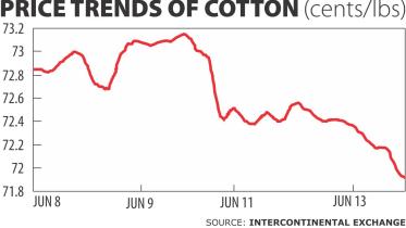 Cotton import rise.jpg