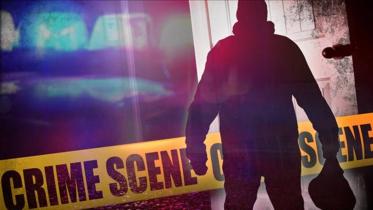 crime of stupidity new.jpg