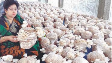 cultivating mushroom.jpg