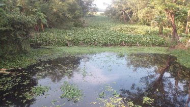 dakatia river.jpg