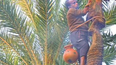 Date juice village.jpg