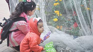 day with butterflies.jpg