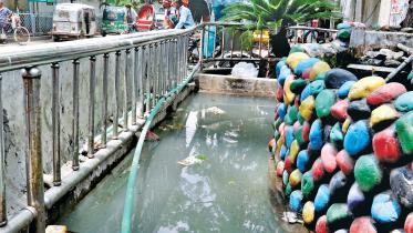Dengue-in-Dhaka-1.jpg