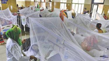 Dengue Mosquito net