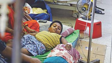 World’s most dangerous creature Dengue Fever