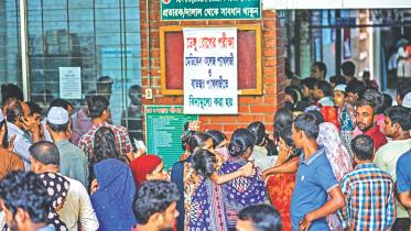 Dengue Fever Prevention