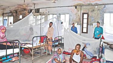 dengue outbreak outside.jpg
