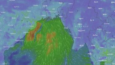 depression bay windy