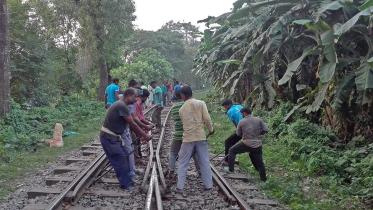 Rail service halted after derailment
