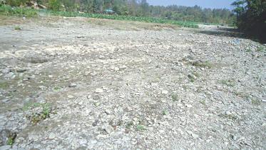 Destruction of forests