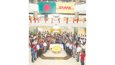 dhl employees night.jpg