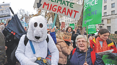 direst environmental.jpg