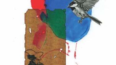 Do Women Have a Country