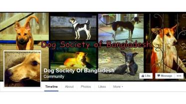 Dog-society-of-Bangladesh-1.jpg