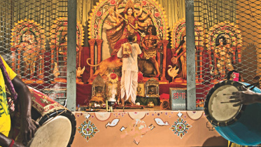 Durga in my neighbourhood