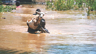 east africa flood.jpg