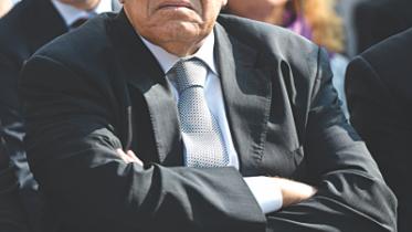 egypt graft.jpg
