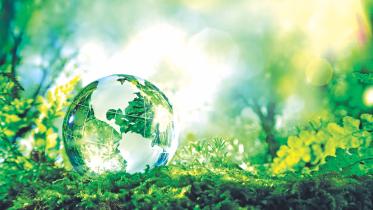 Environmental Laws 1.jpg