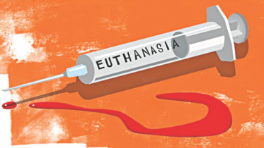 euthanasia.jpg